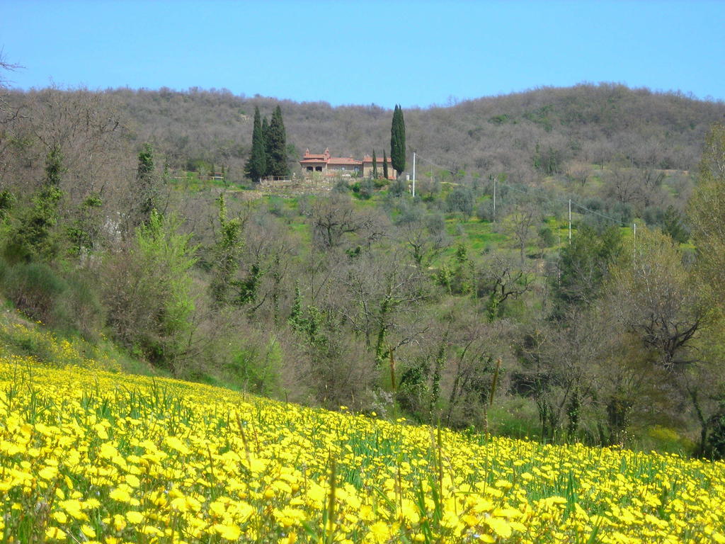 Allegro Agriturismo Argiano Arezzo Dış mekan fotoğraf