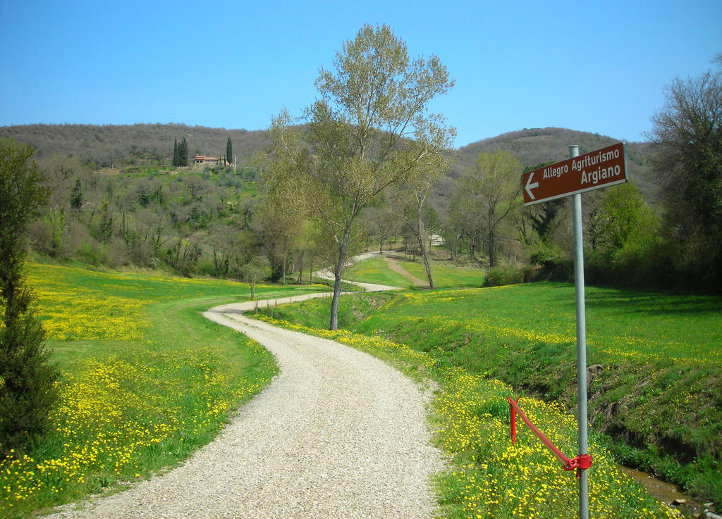 Allegro Agriturismo Argiano Arezzo Dış mekan fotoğraf